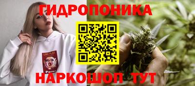 прущие крисы Краснознаменск